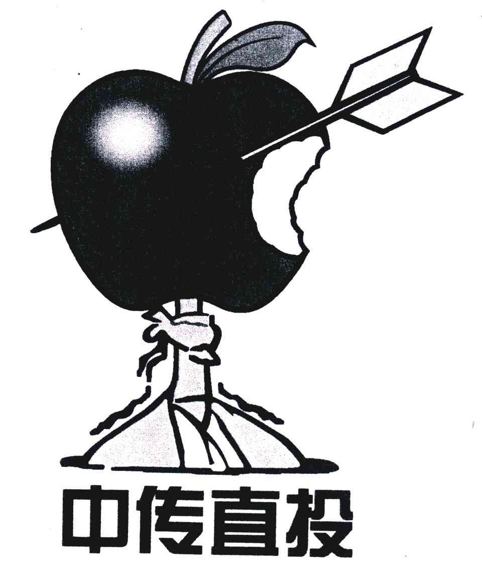 中传直投