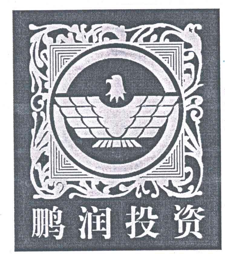 鹏润投资