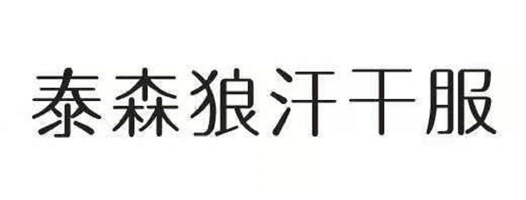 泰森狼汗干服