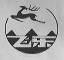 飞乐
