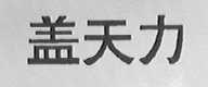 盖天力