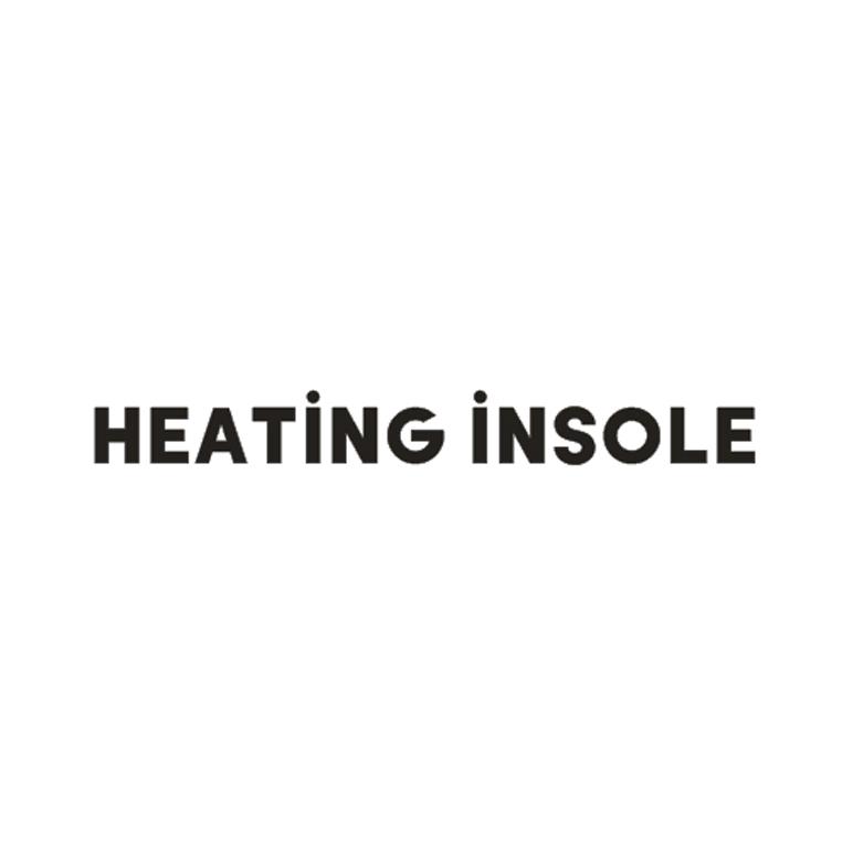 HEATING INSOLE