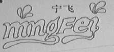 宁飞