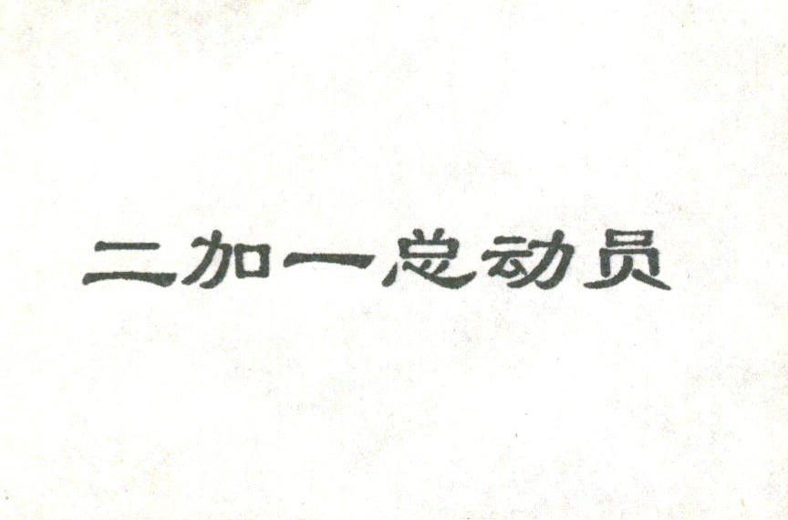 二加一总动员