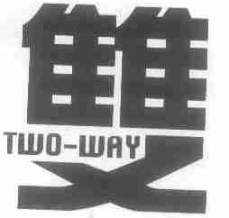 双;TWO-WAY