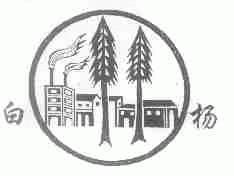 白杨