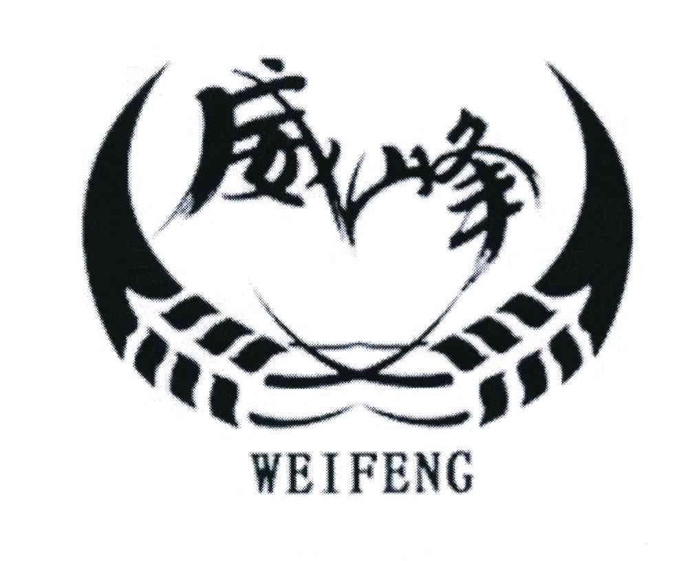 威峰 WEIFENG
