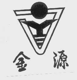 金源