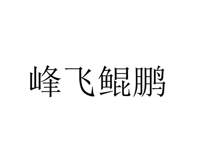 峰飞鲲鹏