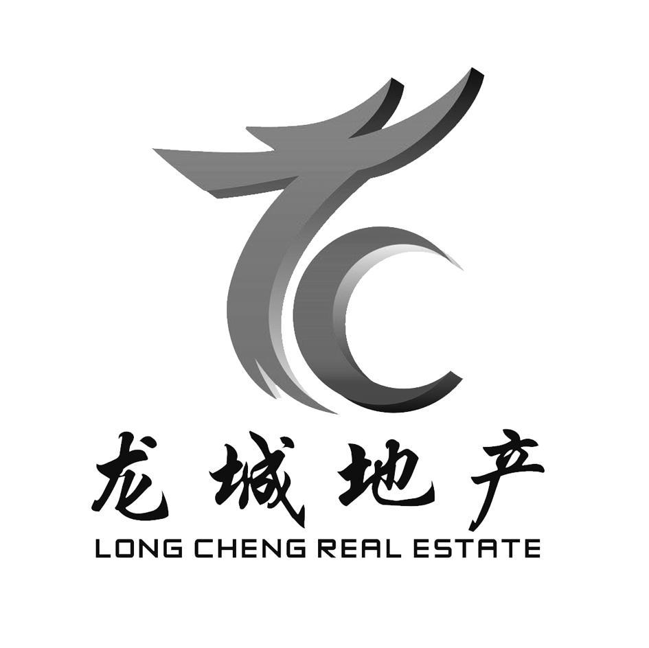 龙城地产 LONGCHENGREALESTRTE