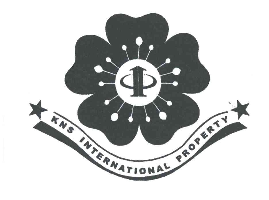 KNS INTERNATIONAL PROPERTY