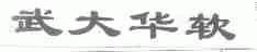 武大华软