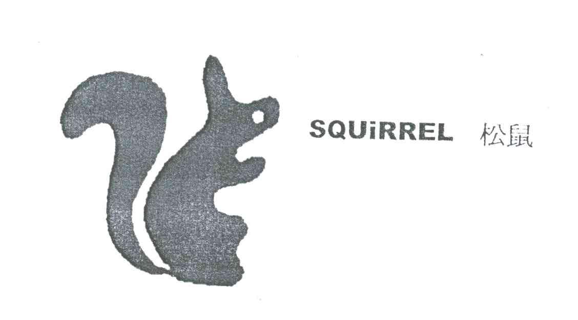 松鼠;SQUIRREL