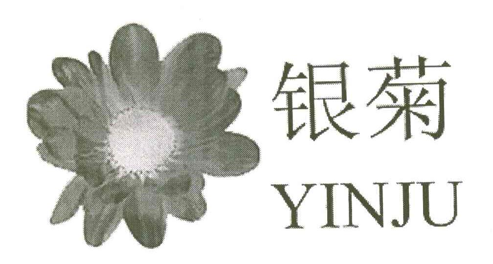 银菊