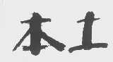 本土