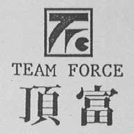 TEAM FORCE  顶富