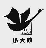 小天鹅