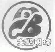 戈壁明珠