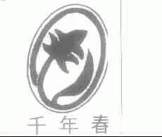 千年春