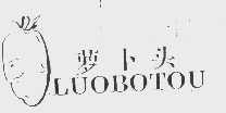 萝卜头