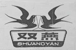 双燕