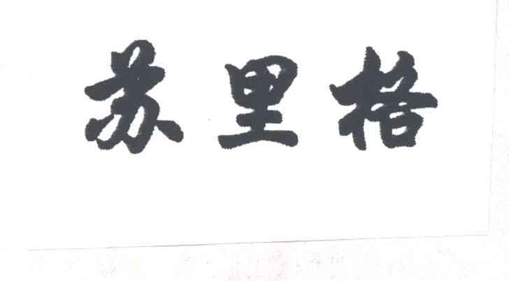 苏里格