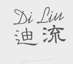 迪流
