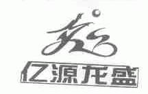 亿源龙盛
