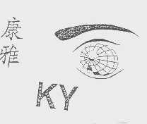 康雅