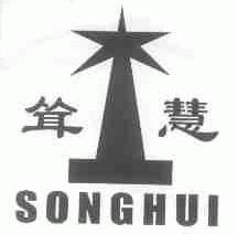 耸慧