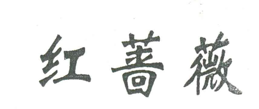 红蔷薇