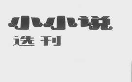 小小说选刊
