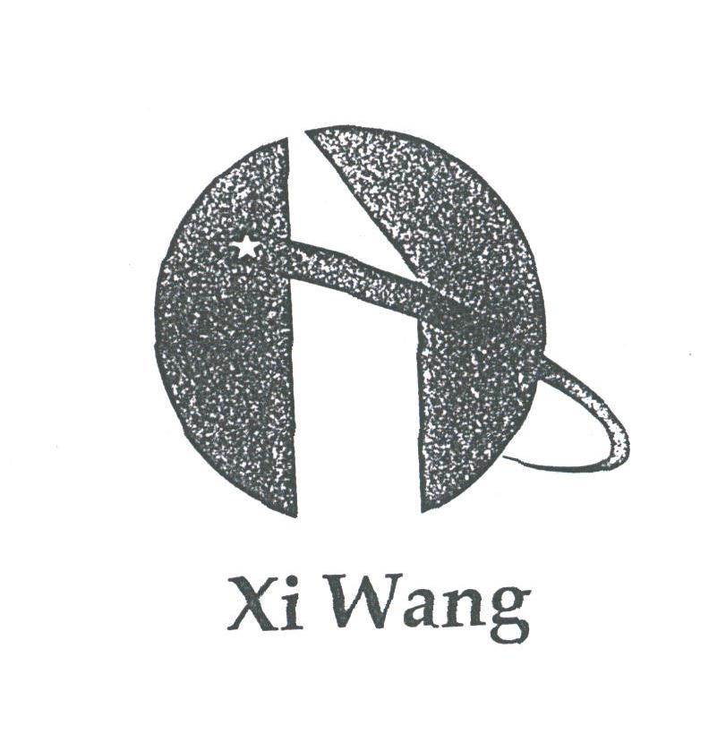 XI WANG
