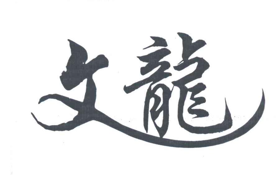 文龙