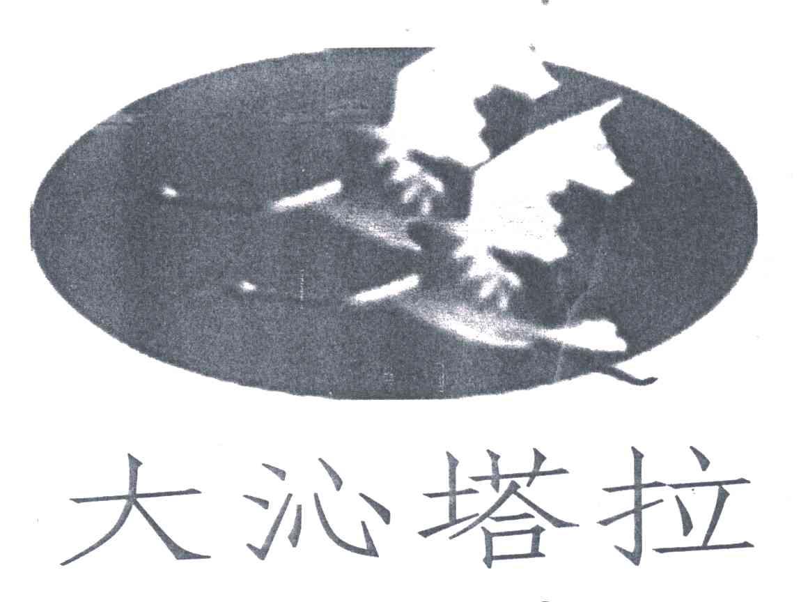 大沁塔拉