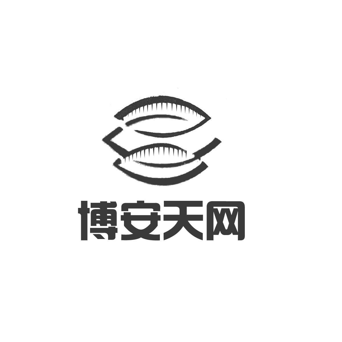 博安天网