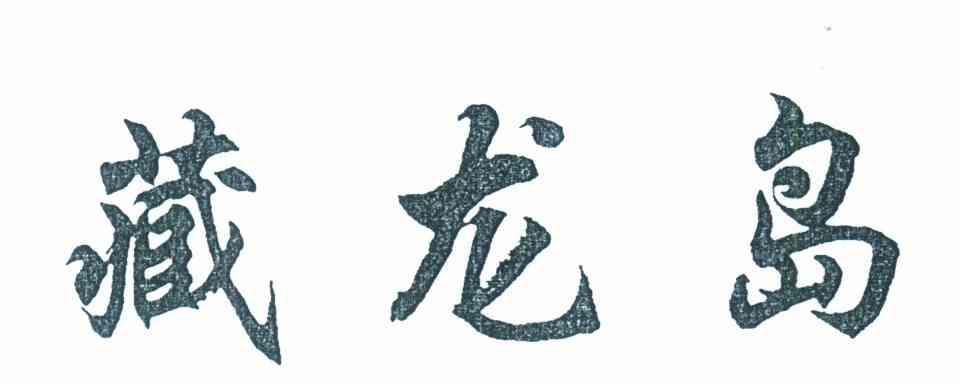 藏龙岛