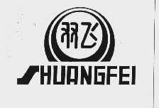 双飞