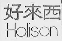 好来西    HOLISON