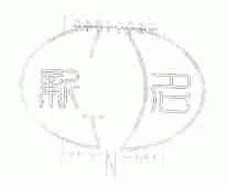 新名;NEW NAME