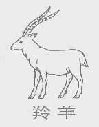 羚羊
