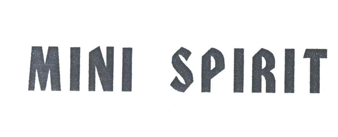 MINI SPIRIT
