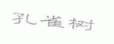 孔雀树