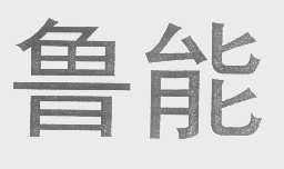 鲁能