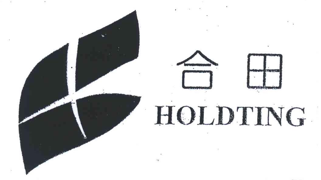 合田;HOLDTING