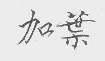 加叶