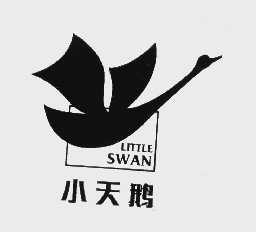 小天鹅   LITTLE SWAN