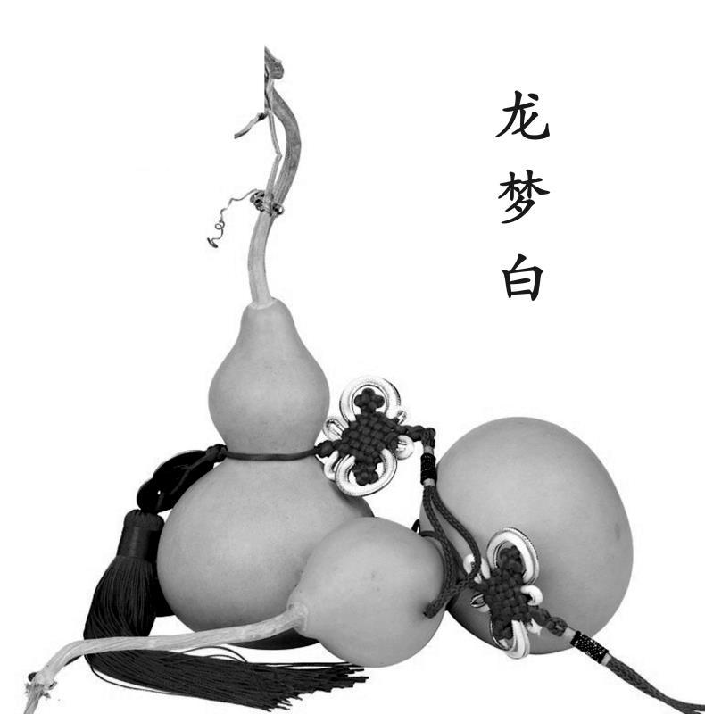 龙梦白