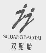 双胞胎
