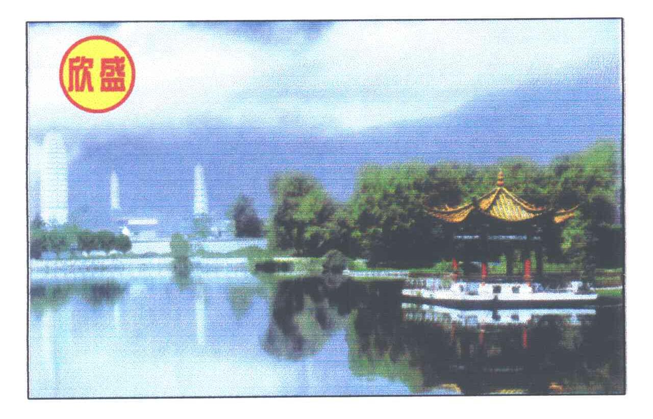 欣盛